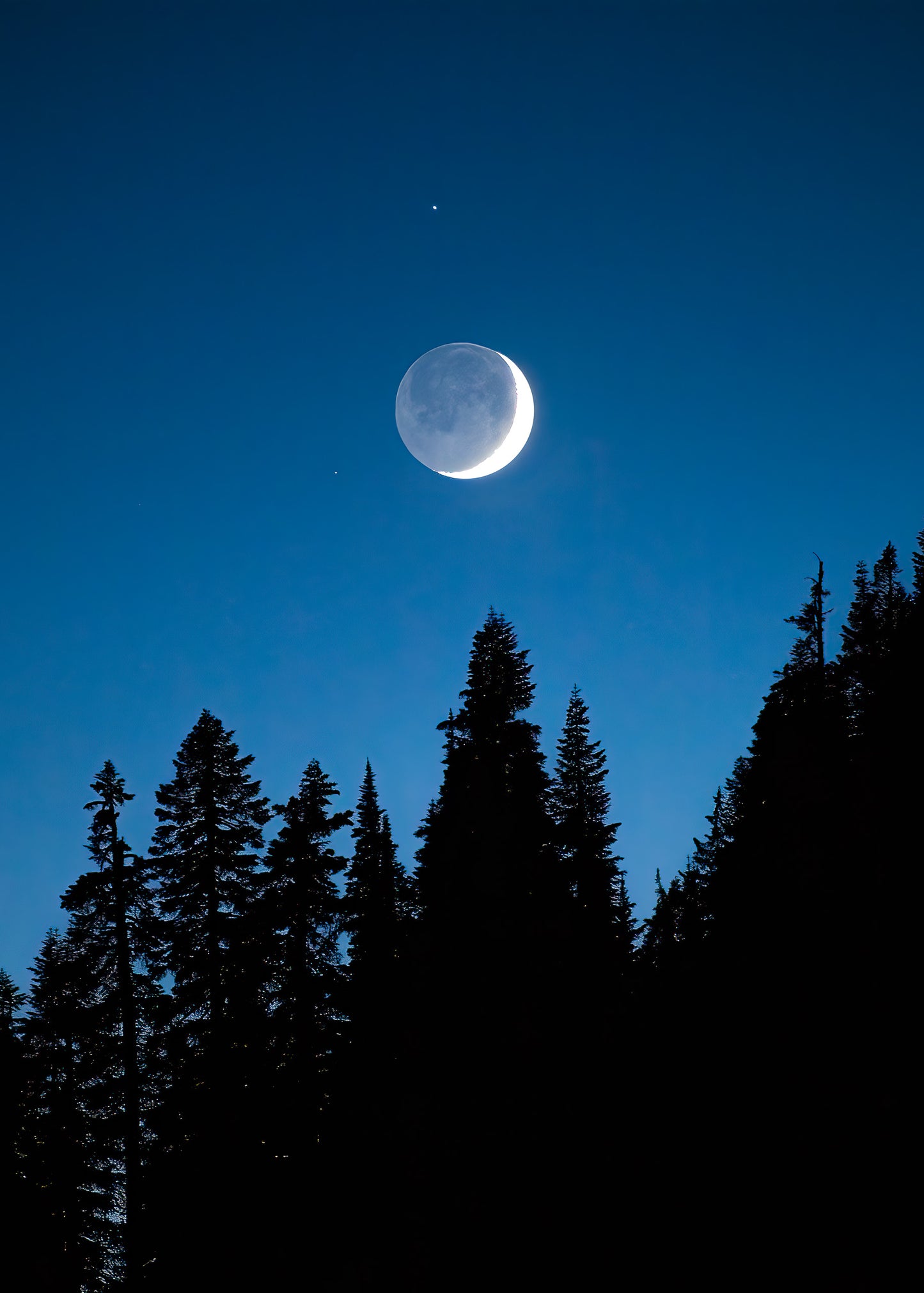 Crescent Moon Over Trees, Mount Rainier National Park - Lustre Paper Print