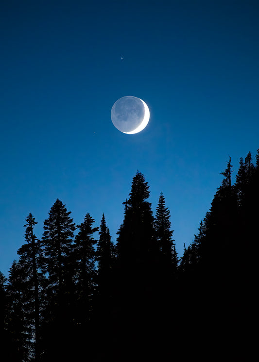 Crescent Moon Over Trees, Mount Rainier National Park - Lustre Paper Print