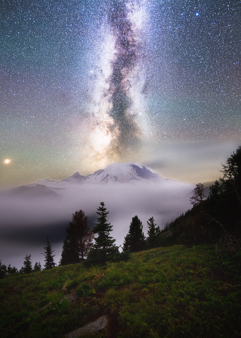 Dreamy, Milky Way Over Mount Rainier, Silver Forest Trail - Lustre Paper Print