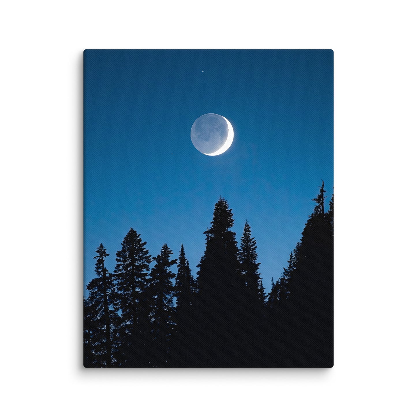 Crescent Moon Over Trees, Mount Rainier National Park - Canvas Print