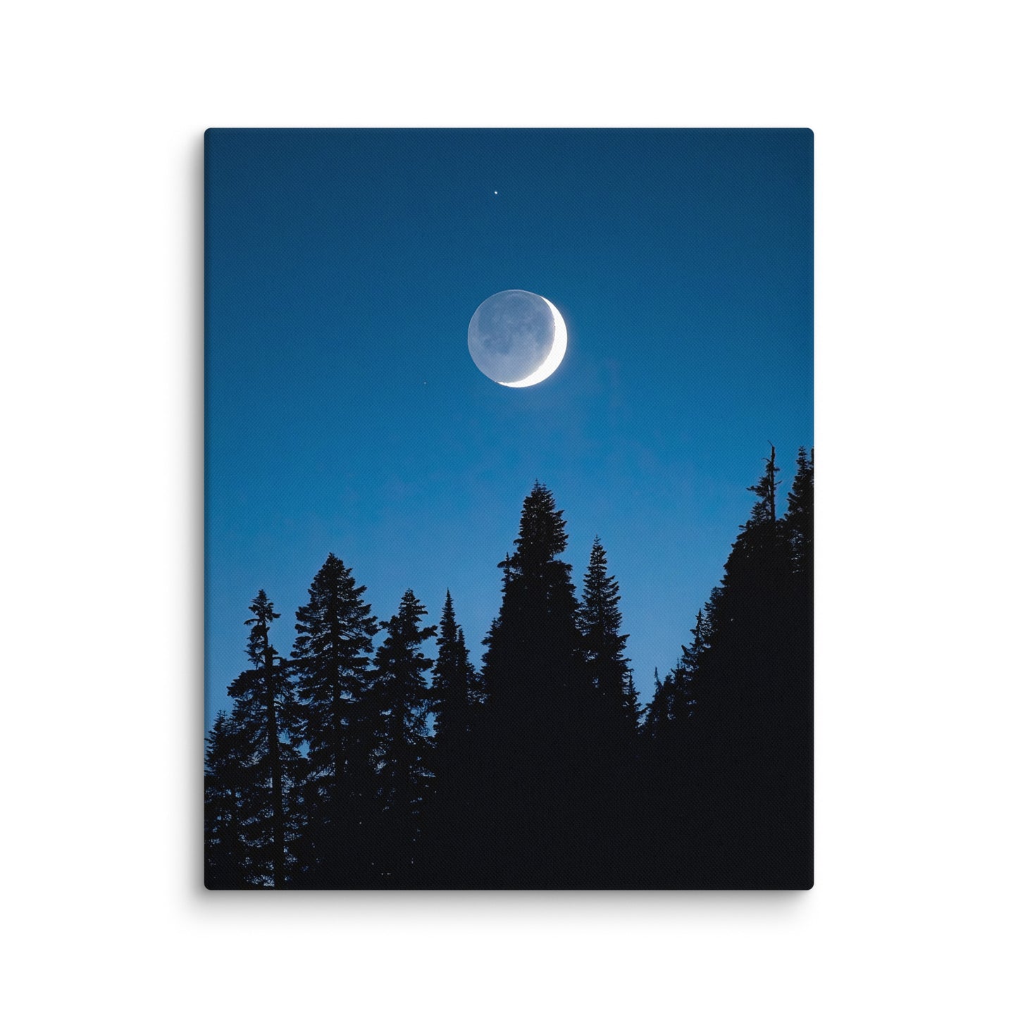 Crescent Moon Over Trees, Mount Rainier National Park - Canvas Print