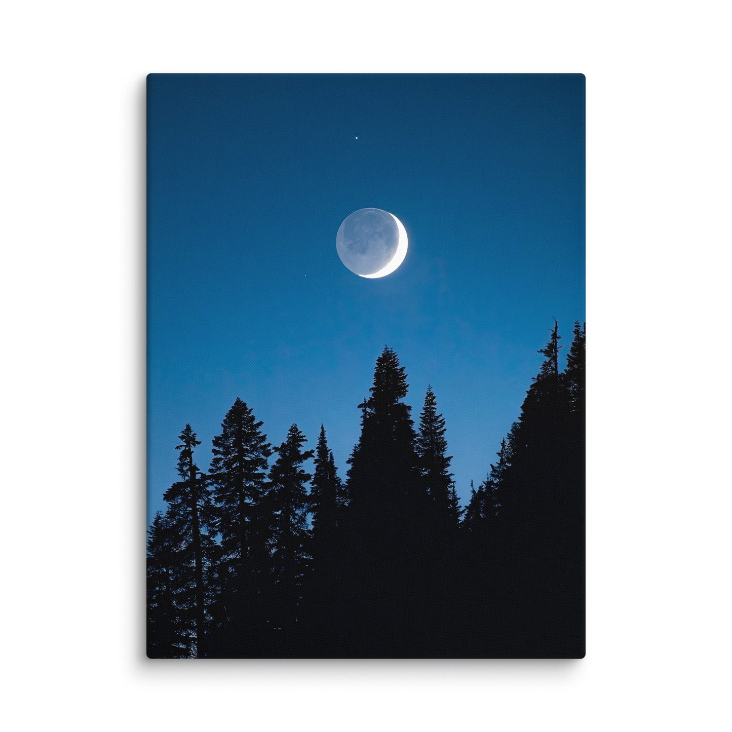 Crescent Moon Over Trees, Mount Rainier National Park - Canvas Print
