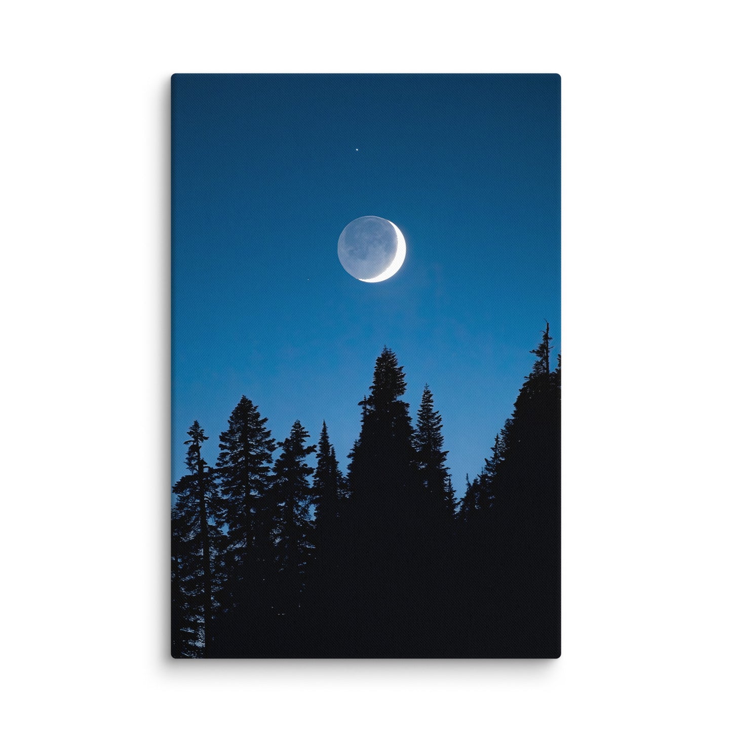 Crescent Moon Over Trees, Mount Rainier National Park - Canvas Print