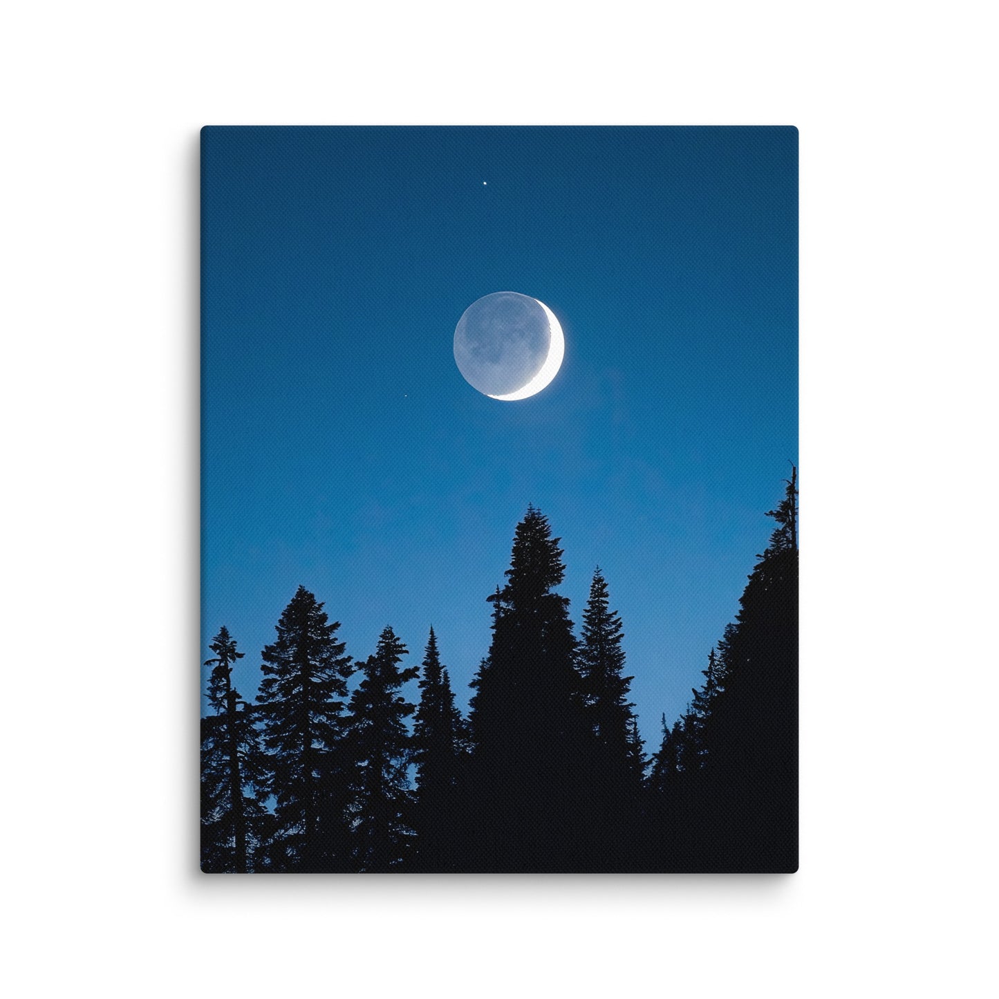 Crescent Moon Over Trees, Mount Rainier National Park - Canvas Print