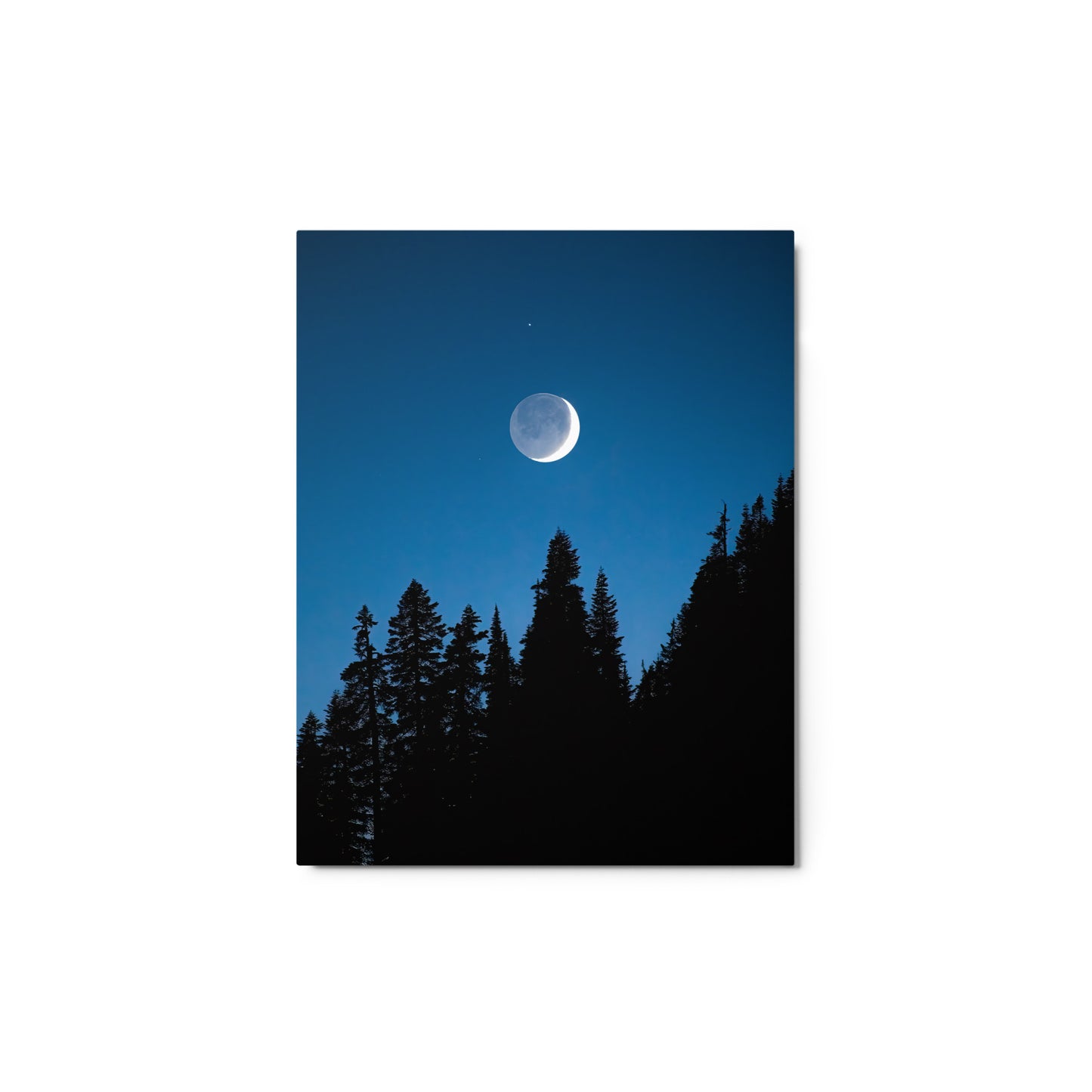 Crescent Moon Over Trees, Mount Rainier National Park - Metal Print