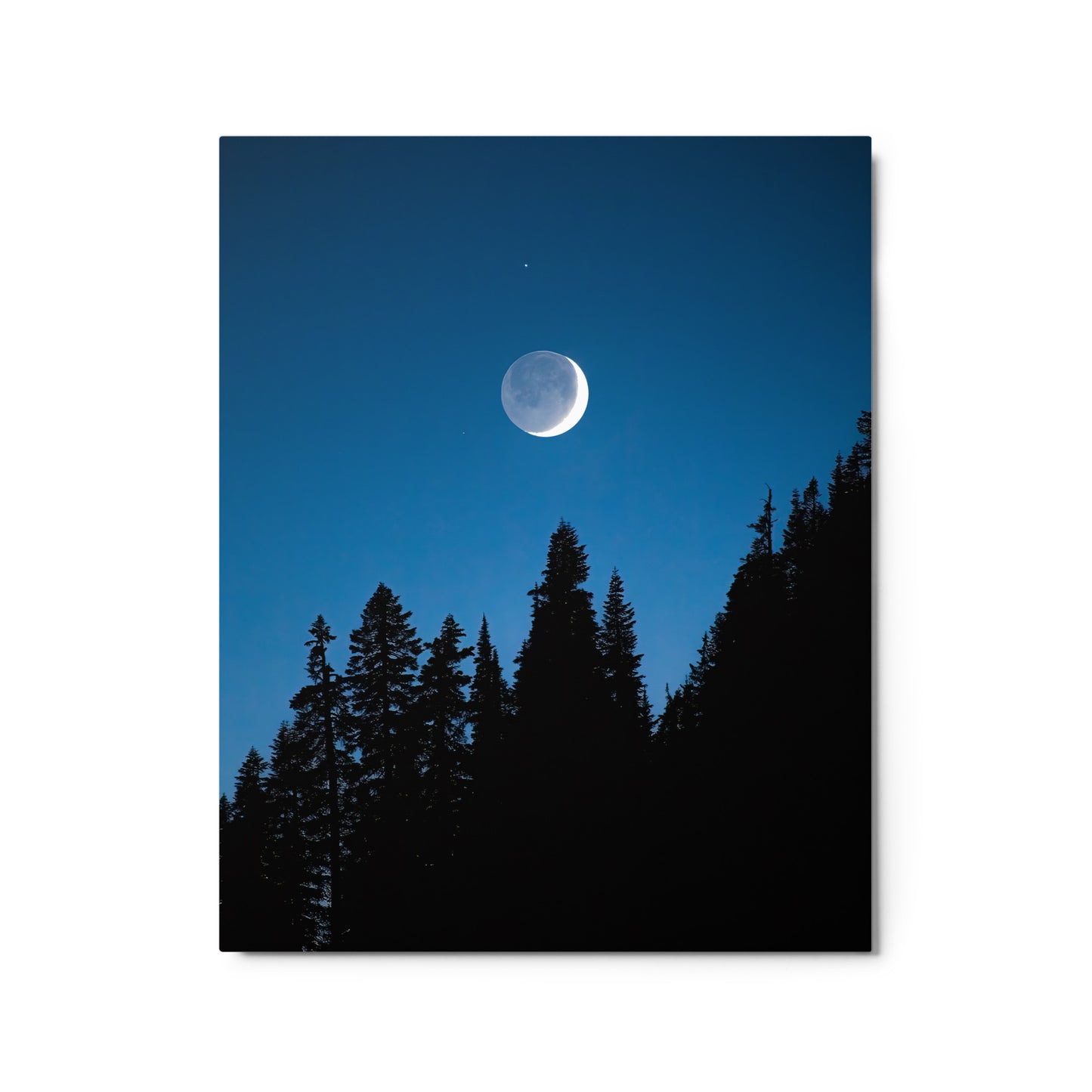 Crescent Moon Over Trees, Mount Rainier National Park - Metal Print