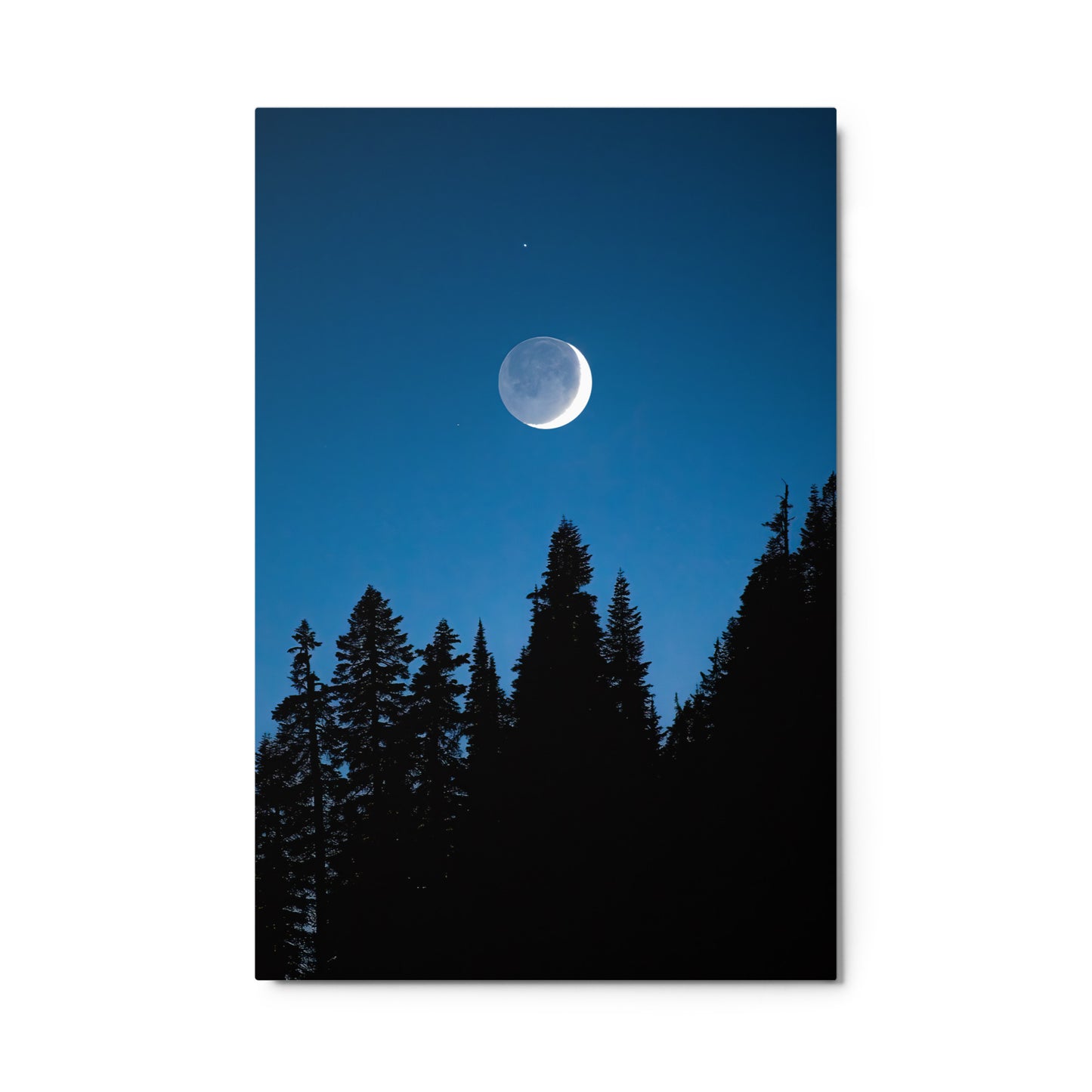 Crescent Moon Over Trees, Mount Rainier National Park - Metal Print