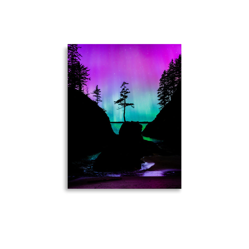 Aurora Borealis Over Deadman’s Cove - Lustre Paper Print