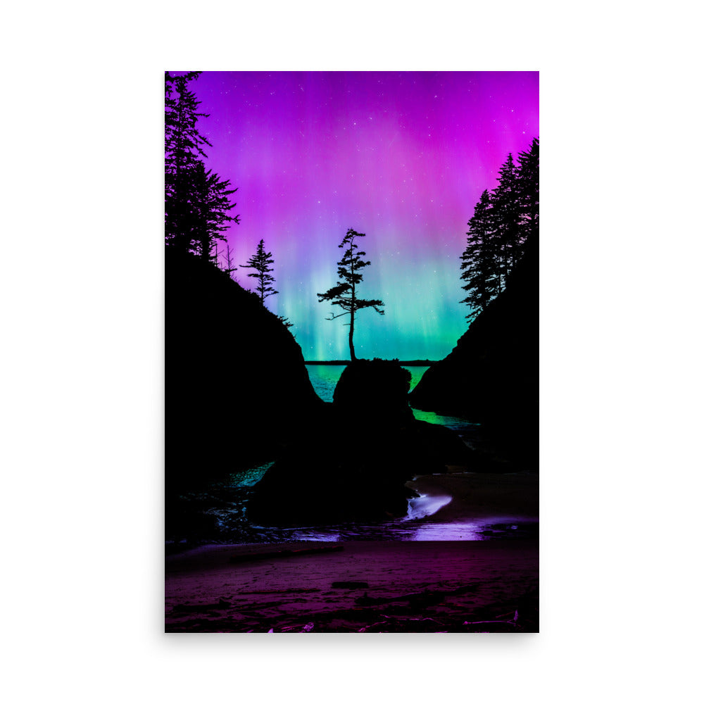 Aurora Borealis Over Deadman’s Cove - Lustre Paper Print