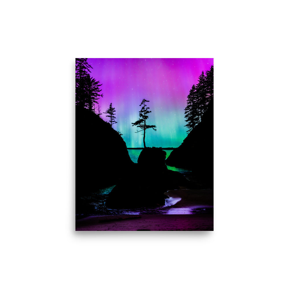 Aurora Borealis Over Deadman’s Cove - Lustre Paper Print