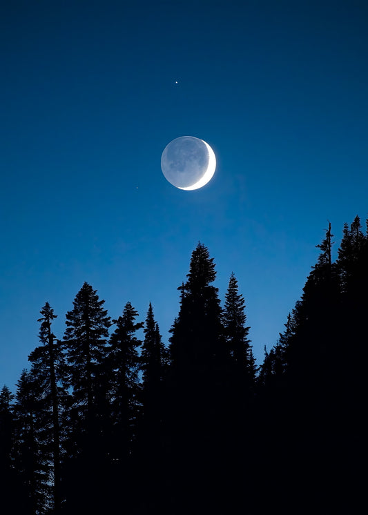 Crescent Moon Over Trees, Mount Rainier National Park - Canvas Print
