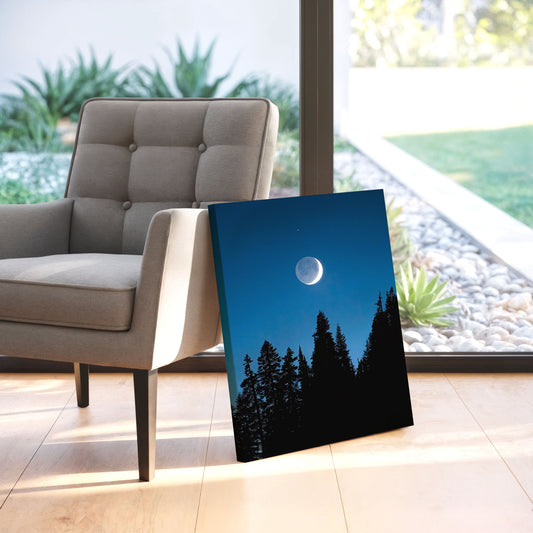 Crescent Moon Over Trees, Mount Rainier National Park - Canvas Print