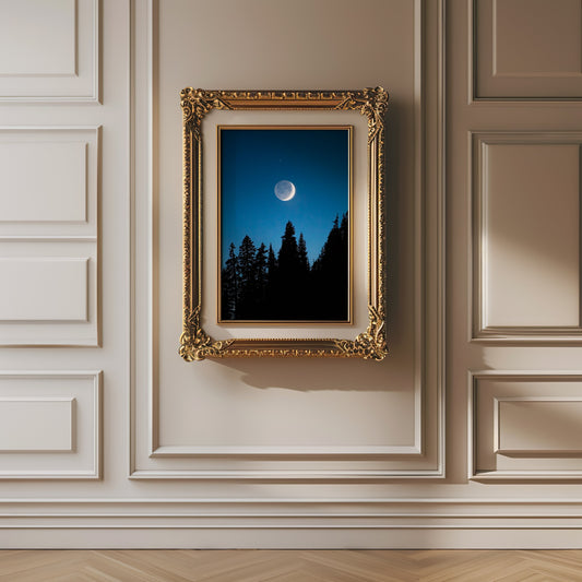 Crescent Moon Over Trees, Mount Rainier National Park - Lustre Paper Print