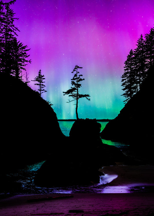 Aurora Borealis Over Deadman’s Cove - Lustre Paper Print
