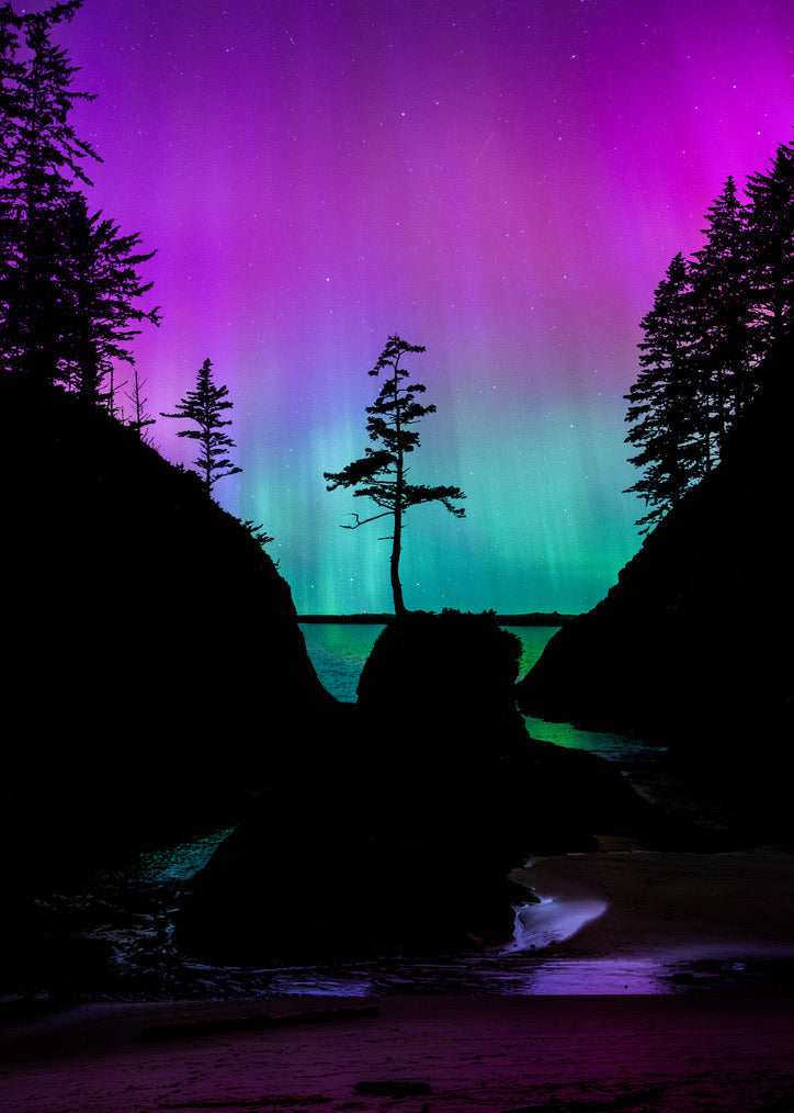Aurora Borealis Over Deadman’s Cove - Canvas Print