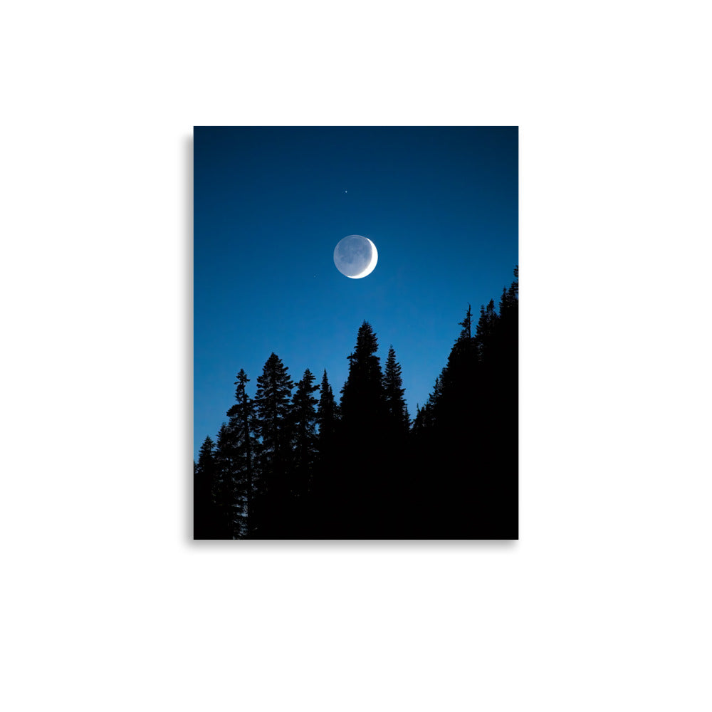 Crescent Moon Over Trees, Mount Rainier National Park - Lustre Paper Print