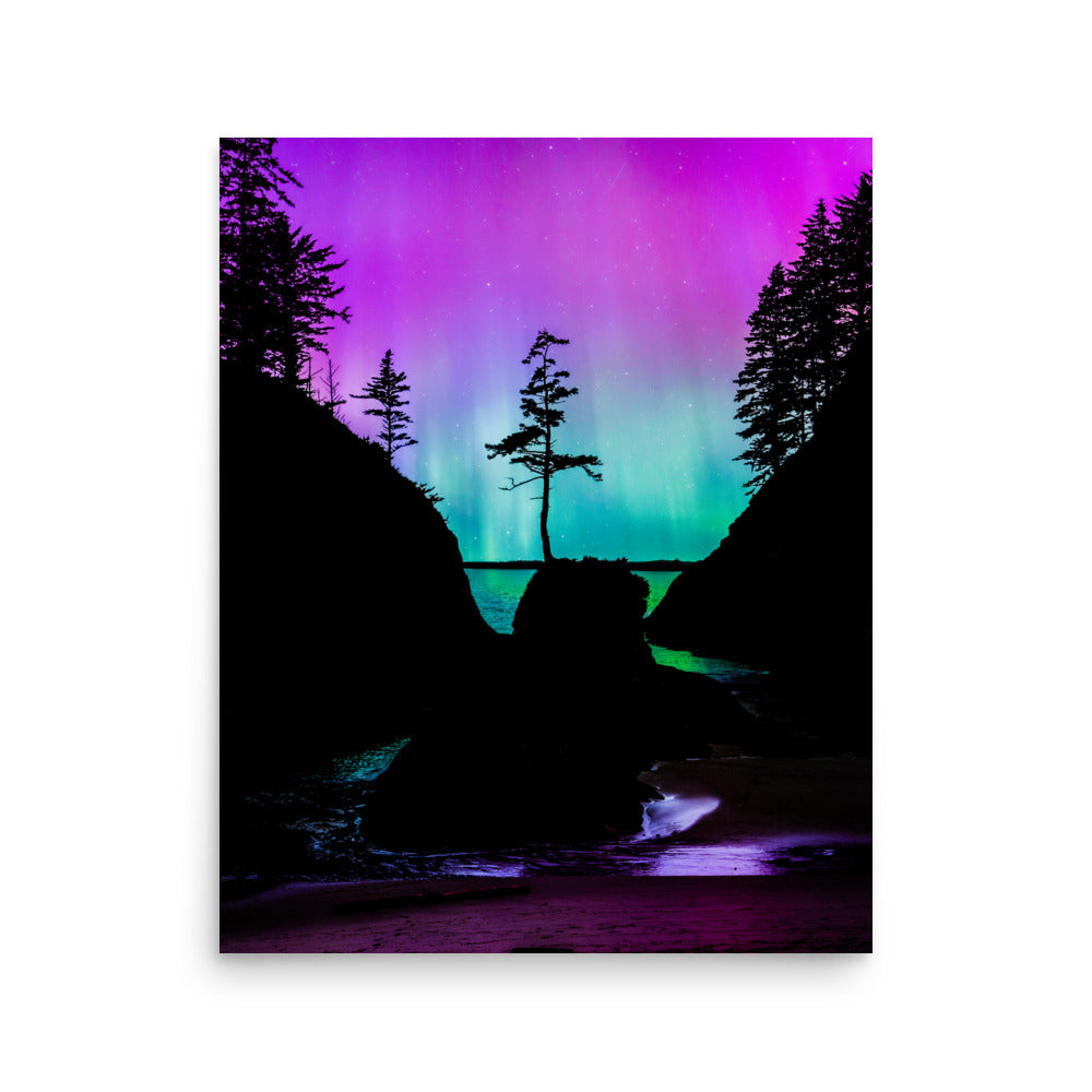 Aurora Borealis Over Deadman’s Cove - Lustre Paper Print