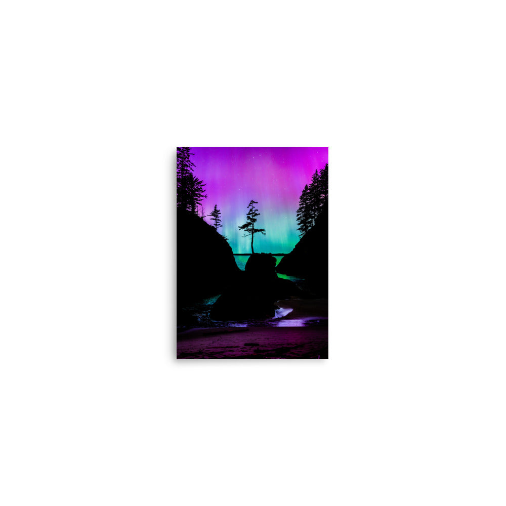 Aurora Borealis Over Deadman’s Cove - Lustre Paper Print