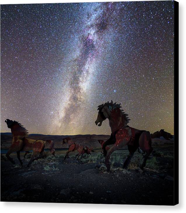 Wild Horses - Canvas Print