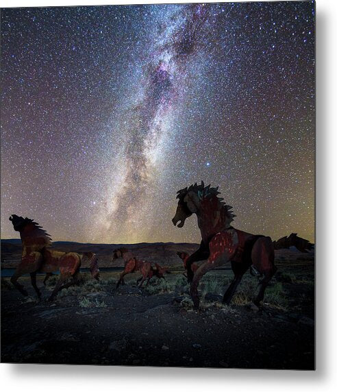 Wild Horses - Metal Print