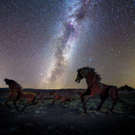 Wild Horses - Art Print