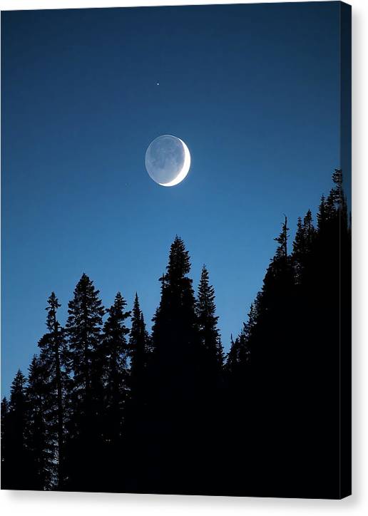 Crescent - Canvas Print