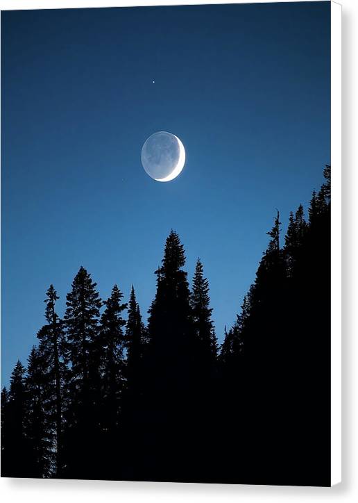 Crescent - Canvas Print