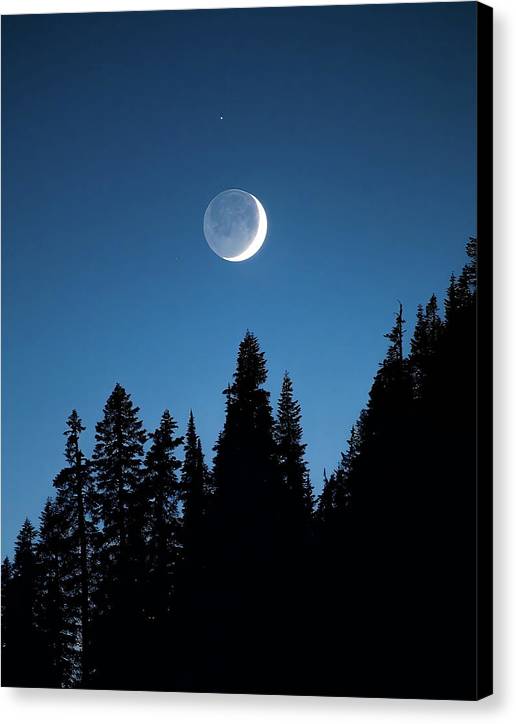 Crescent - Canvas Print