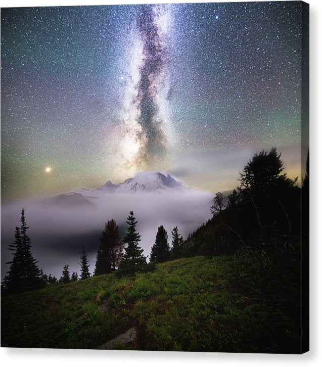 Dreamy - Mt. Rainier From Silver Forest Trail - Canvas Print