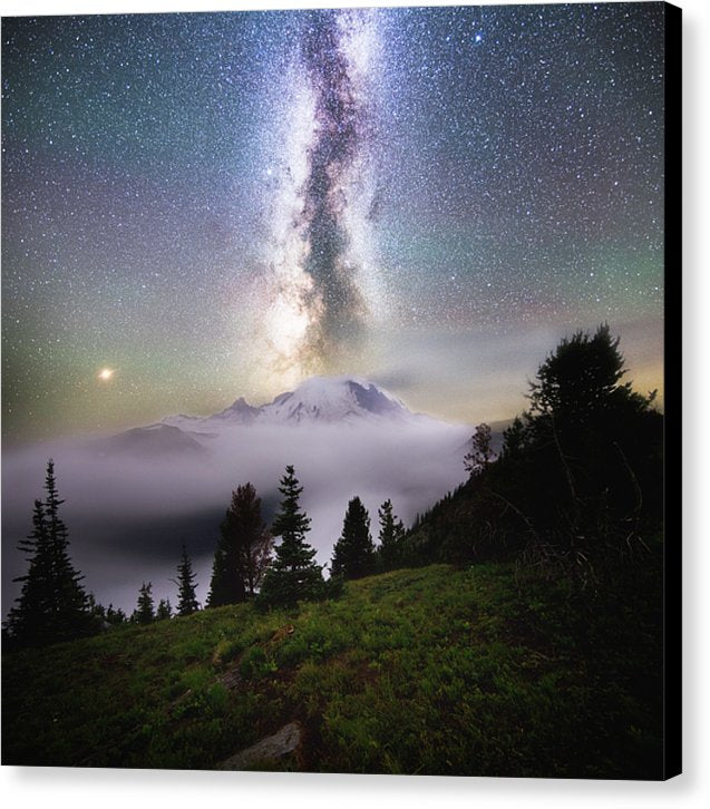 Dreamy - Mt. Rainier From Silver Forest Trail - Canvas Print