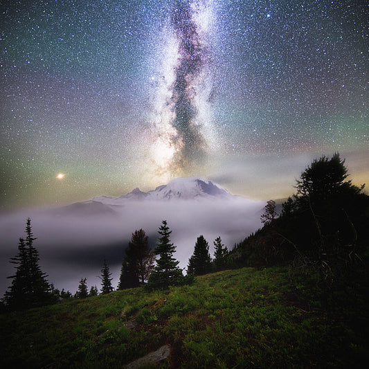 Dreamy - Mt. Rainier From Silver Forest Trail - Art Print