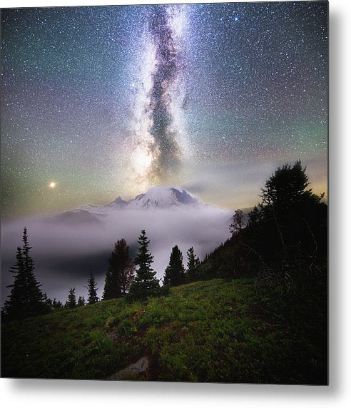 Dreamy - Mt. Rainier From Silver Forest Trail - Metal Print