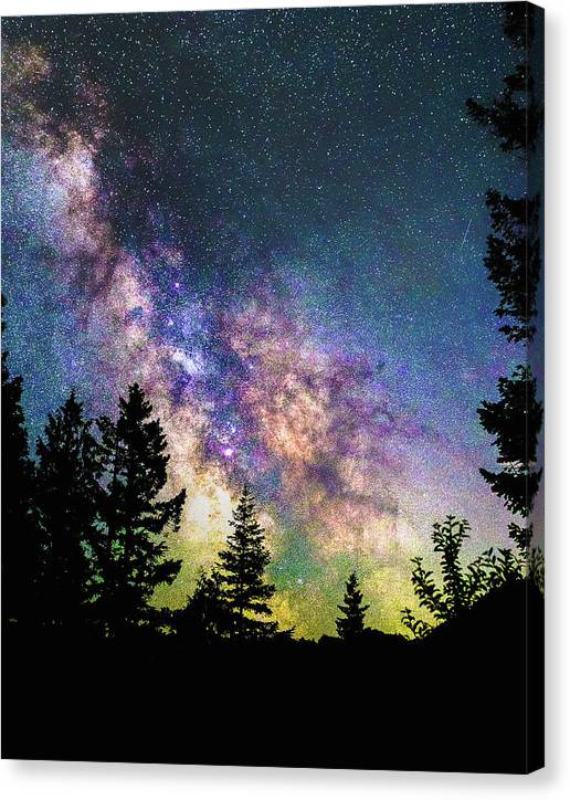 Glow - Canvas Print