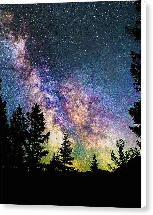 Glow - Canvas Print