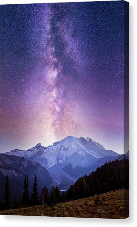 Wildfire - Canvas Print