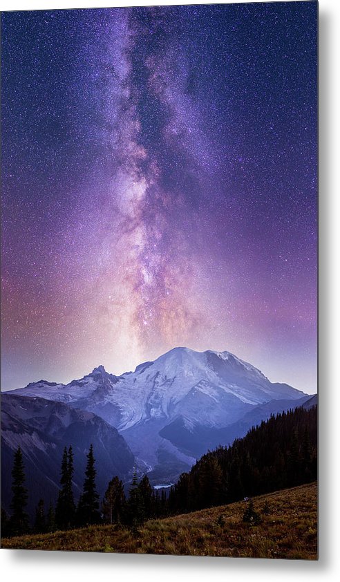 Wildfire - Metal Print